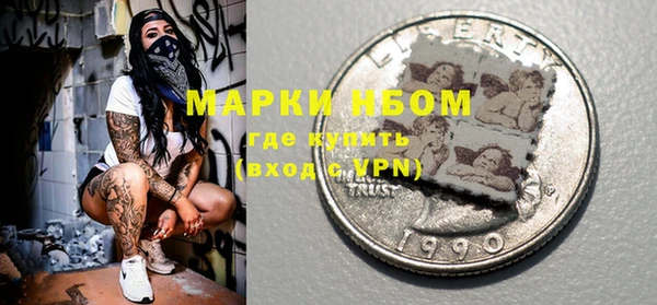 ECSTASY Кукмор