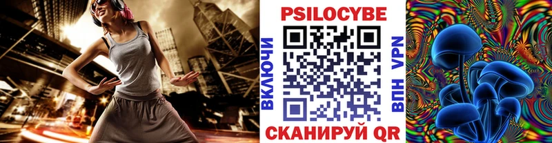 где купить наркотик  blacksprut маркетплейс  Псилоцибиновые грибы ЛСД  Павловск 